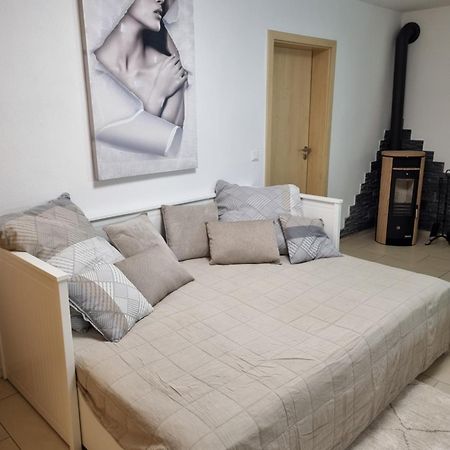 Appartment Im Untergeschoss Фрайласинг Екстериор снимка